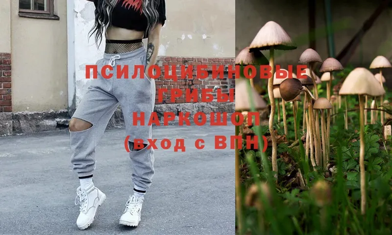 Псилоцибиновые грибы MAGIC MUSHROOMS  OMG ссылка  Анива  как найти закладки 